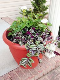 Large Container Flower Garden with Geranium and Vines
